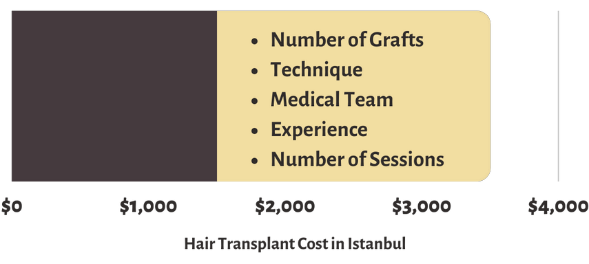 Hair Transplant Cost in Istanbul Turkey