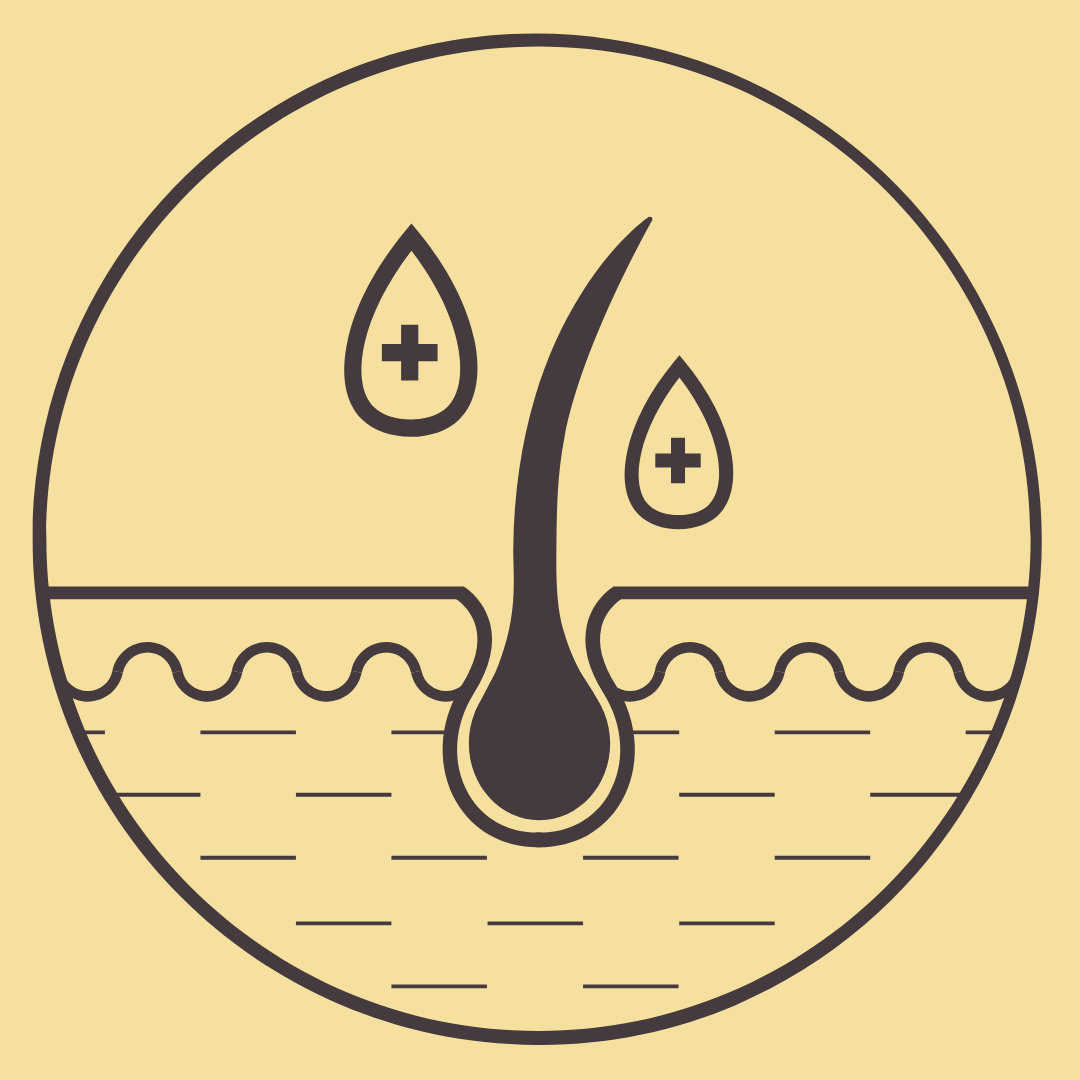 Choosing the Best Shampoo After Hair Transplant Vantage Hair