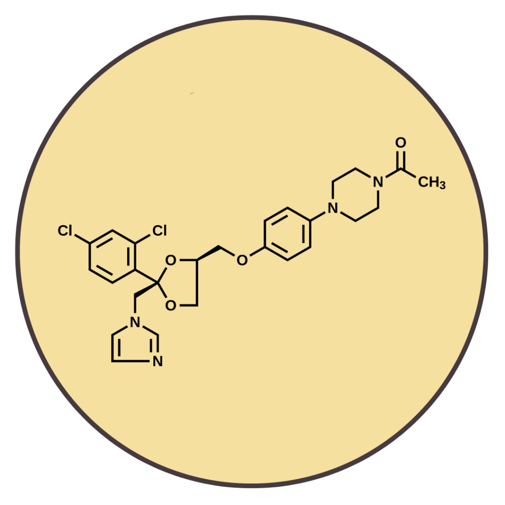 Choosing the Best Shampoo After Hair Transplant Vantage Hair