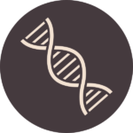 genetics