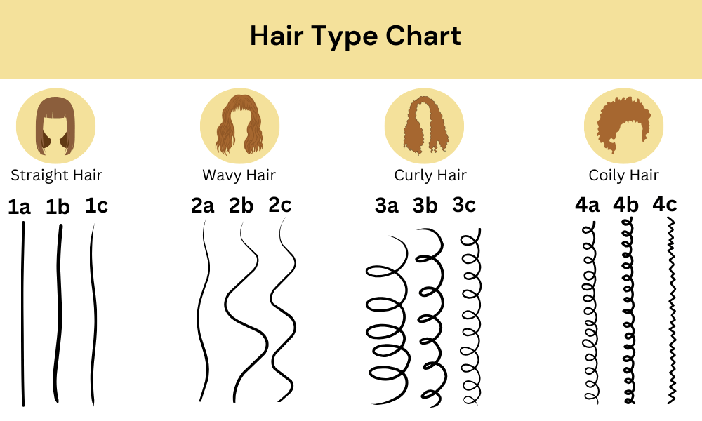 Hair type chart
