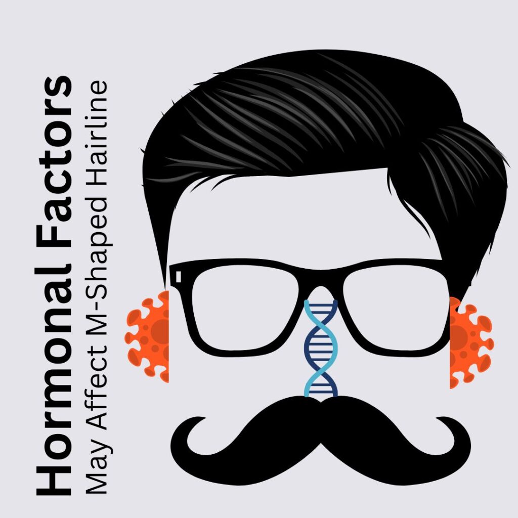 Hormonal Factors may affect m-shap hairline